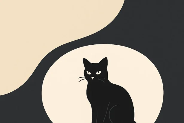 Mit jelent fekete macskával álmodni? Modern és hagyományos álomfejtések.