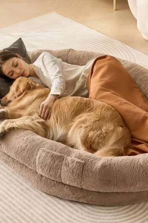 nagymeretu-kutyaagy-embereknek-barna-szinu