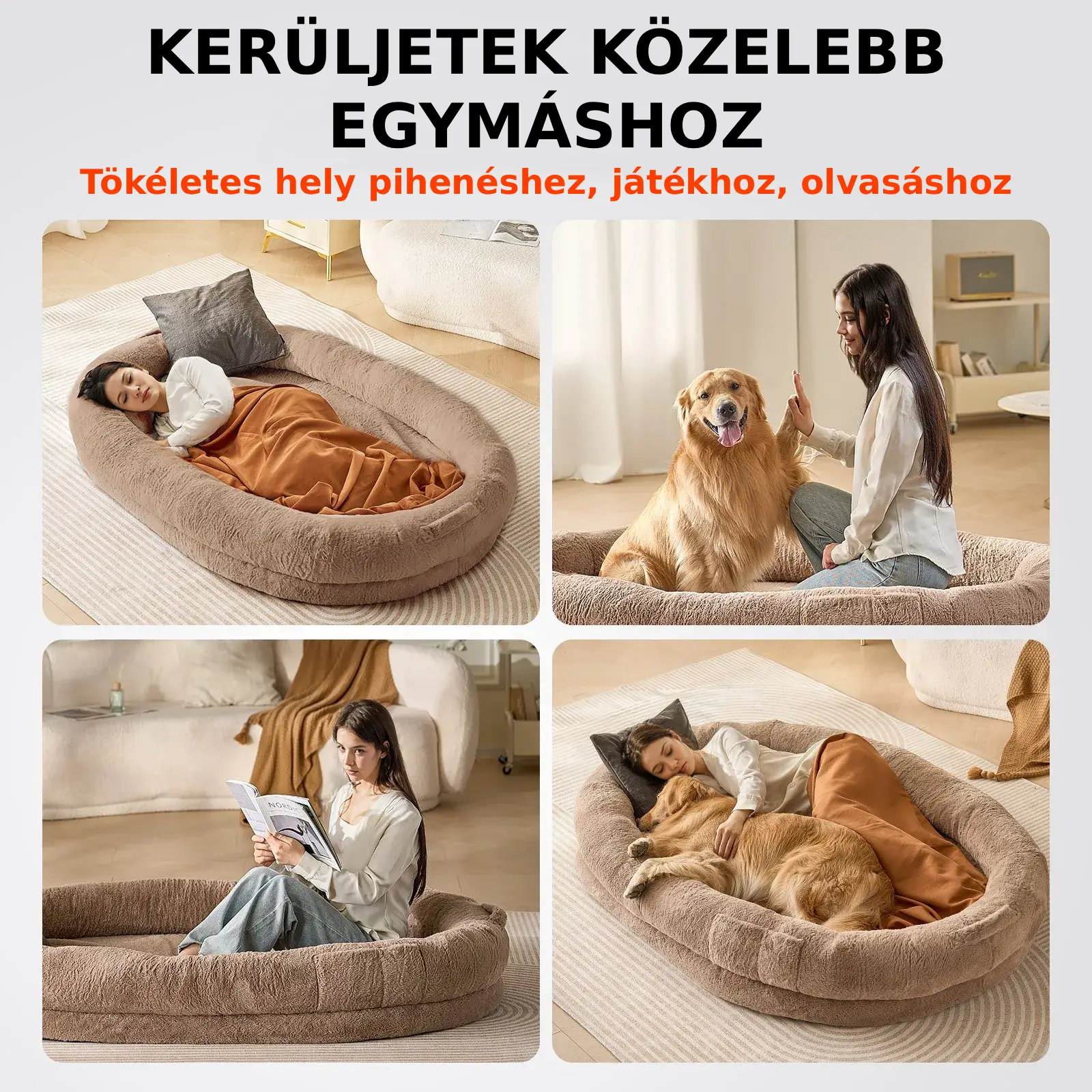 Barna színű, óriás emberi kutyaágy