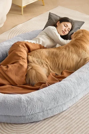 nagymeretu-kutyaagy-embereknek-szurke-szinu