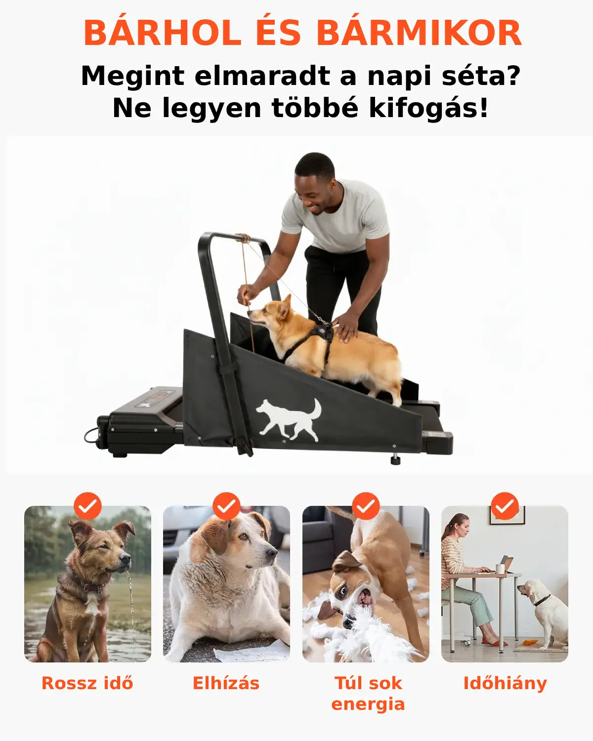 Elektromos kutya futópad kis és közepes kutyáknak.