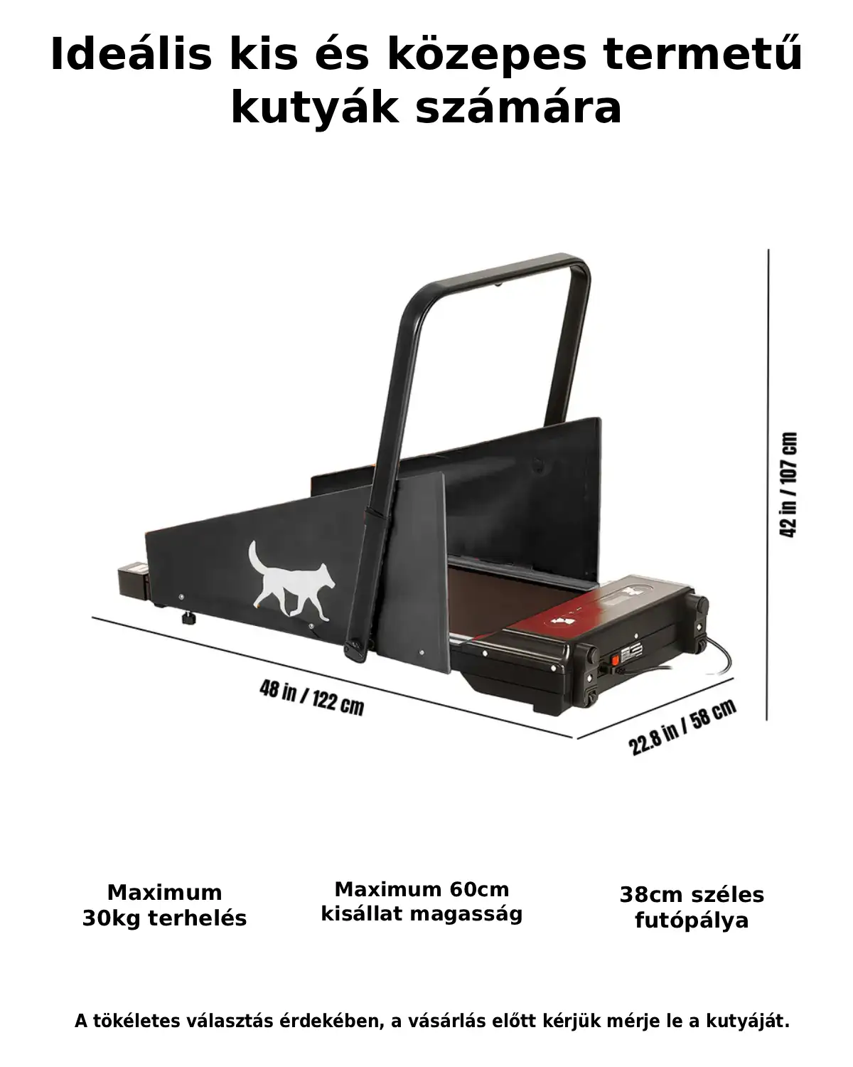 Elektromos kutya futópad kis és közepes kutyáknak.