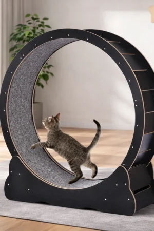 belteri-macska-futokerek-6-11-kg-ig-fekete-szinu