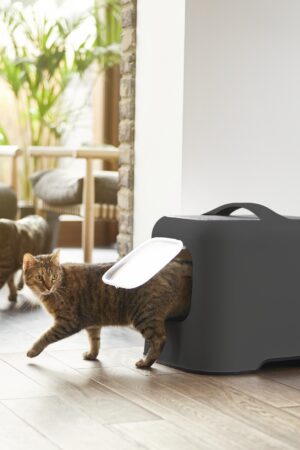 Rotho Biala fedett és zárt macska WC szagelszívó szűrővel - antracit