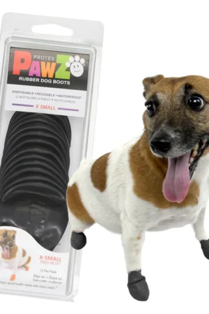 Kutyacipő XS méretben